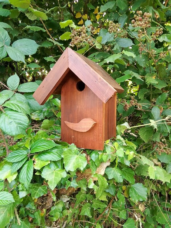 Nichoirs pour oiseaux – Image 3