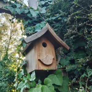 Nichoirs, mangeoires oiseaux